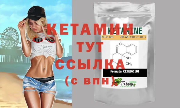 шишки Гусев
