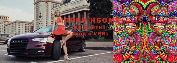 шишки Гусев