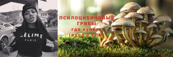 соль ск Дмитров