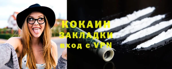 соль ск Дмитров