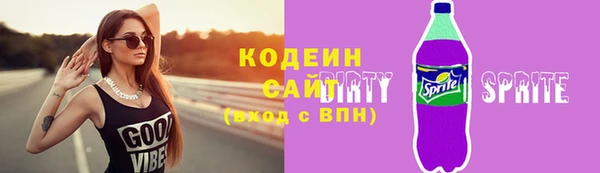 шишки Гусев