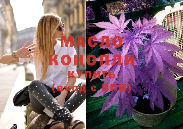 соль ск Дмитров