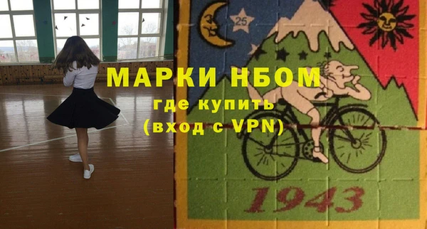 шишки Гусев