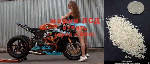 мяу мяу мука Гусиноозёрск