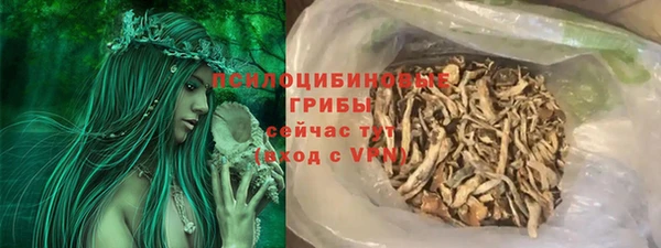 шишки Гусев