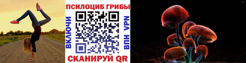 как найти закладки  Салават  Псилоцибиновые грибы Cubensis 